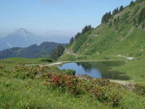 Morzine - Dorf Morzine und Gateway