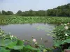 Etang de Fontmerle à Mougins