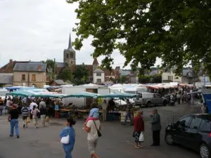 Feira Mensal