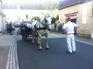 Passeio de carruagem puxada por cavalos