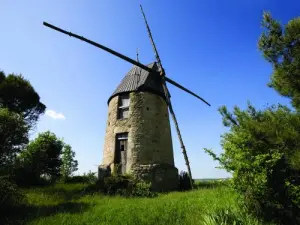 Mühle Mourvilles-Hautes (© Die Quellen des Canal du Midi)