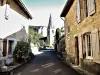 Church tower seen from the section of the street (© J.E)