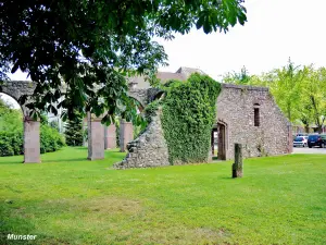 Ruinen der Abtei von Munster (© JE)