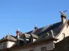 Ooievaars op de daken van Munster (© S. Wernain)
