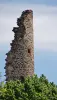 Boissezon de Masviel - Tour de l'ancien château