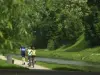 ナンシーのムルト川のほとりで自転車に乗る
