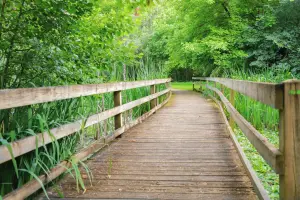 View from the bridge in the Jardin de l'Argentor