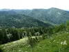 Randonnée des Monts d'Ain