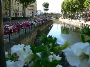 Città di Narbonne (© Frantz)