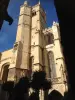 Narbona - Catedral de San Justo y San Pasteur