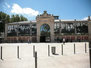 Città di Narbonne (© Frantz)