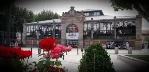 The Halles, Narbonne