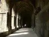 Narbona - Claustro de la catedral (© Frantz)