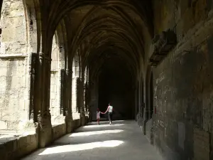 Claustro de la Catedral (© Frantz)