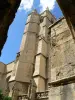 Narbonne Cathedral (© Frantz)