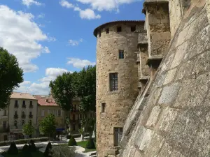 Stadt von Narbonne (© Frantz)