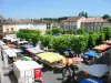 Nègrepelisse - Tourism, holidays & weekends guide in the Tarn-et-Garonne