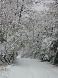 Néoules sotto la neve