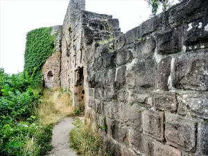 Burgmauer und Tür (© JE)