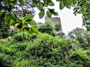 Ruinen der Burg, vom Zugangsweg aus gesehen (© JE)