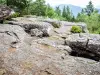 Fels von Coucou - Naturstätte in Neubois