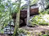 Fels von partisans - Naturstätte in Neubois