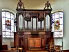 The organ in the Church of St. Louis (© J.E)