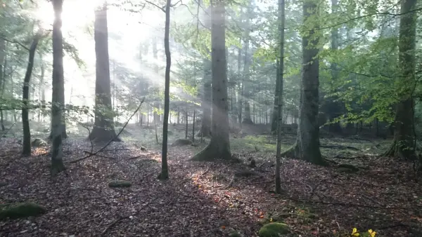 Neufmaisons Tourisme, Vacances & Weekend