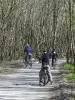 Bicicleta de estrada verde