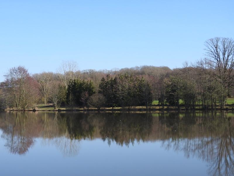 Étang des Bercettes Site naturel à NeuvillyenArgonne
