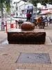 Fontaine en centre ville