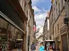 Nevers - Centre ville