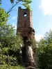 Замок - Wasigenstein - Памятник — Niedersteinbach