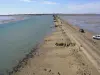 Passage du Gois con la bassa marea