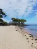 Landtong van Saint-Pierre - Natuurgebied in Noirmoutier-en-l'Île