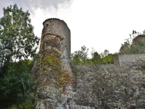 Remains of the old castle