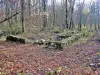 Ruines de la ferme Boban (© Jean Espirat)