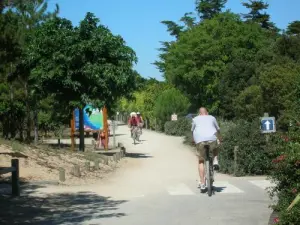 Bike lanes