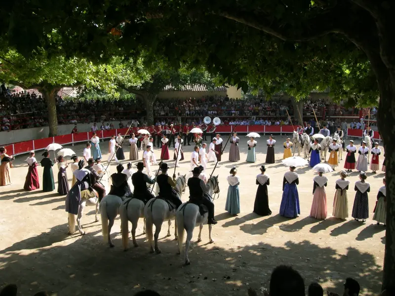 Arena dei Paluds de Noves - Monumento a Noves