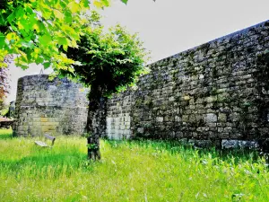 West wall of the medieval walls of the city (© Jean Espirat)