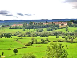 Nozeroy, seen from the road to Onglières (© J.E)