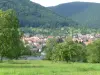 Oberhaslach - 観光、ヴァカンス、週末のガイドのバ・ラン県