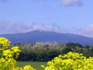 O cume dos Vosges visto da aldeia