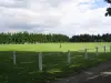 Campo de fútbol