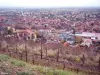 Obernai gezien vanaf het uitkijkpunt