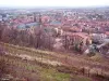 Obernai - Panorama do belvedere