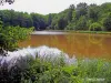 Offemont - Etang Lagace (© Jean Espirat)