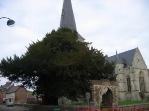 La iglesia y su tejo del milenio