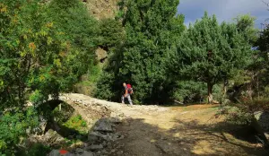 puente genovés (acceso o Olmi Mausoléo)