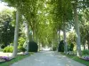 Public Garden Oloron-Sainte-Marie